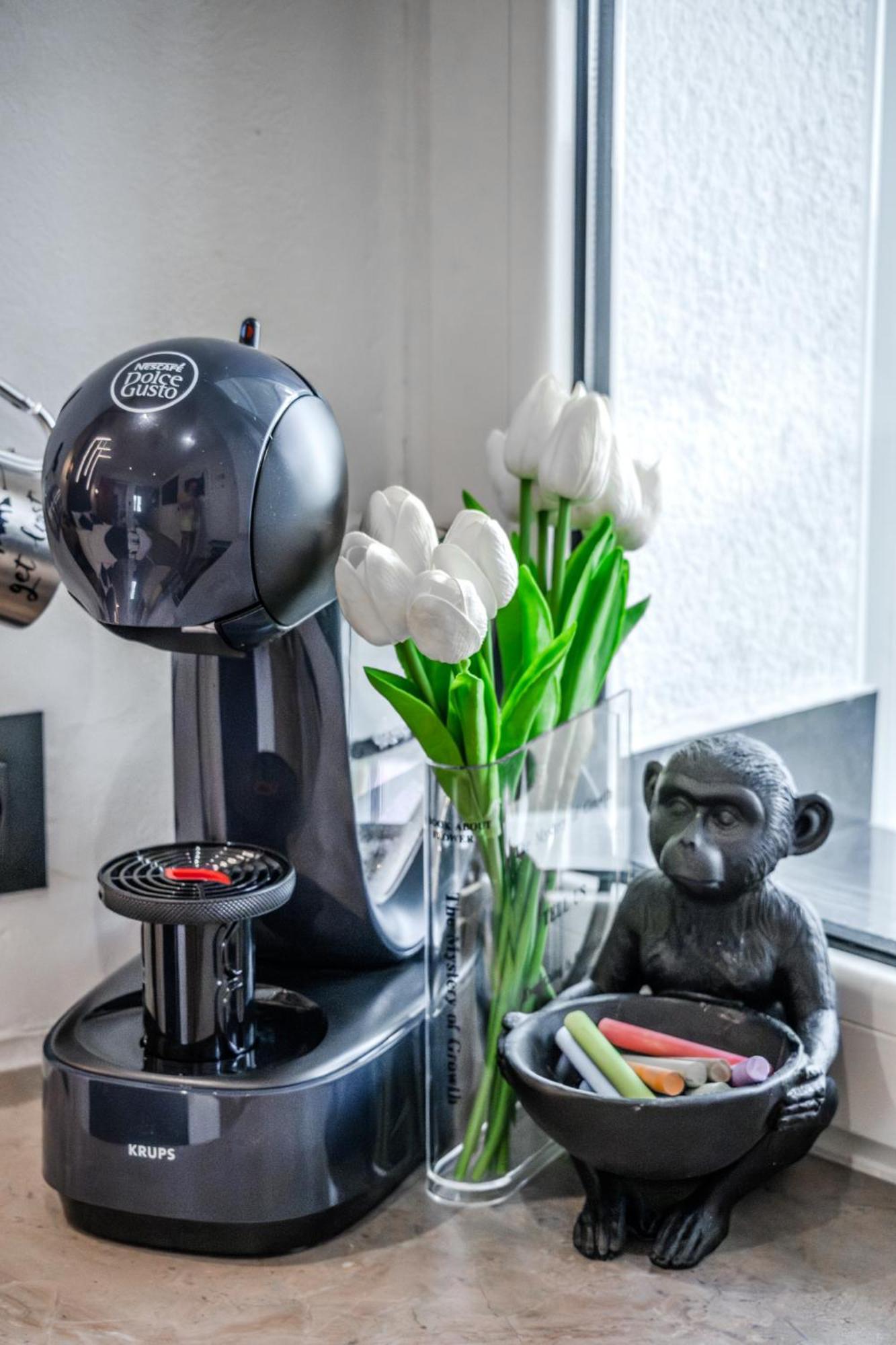 Urban Oasis Apartment Рийека Екстериор снимка